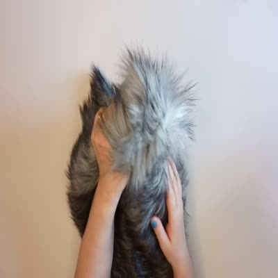 no-image